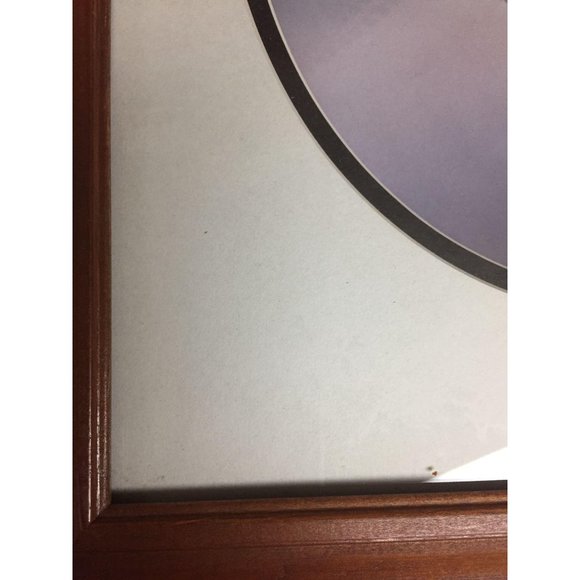 Black Capped Chicadee Photograph Framed Signed Numbered Bird Maria Lenon Art - Picture 6 of 9